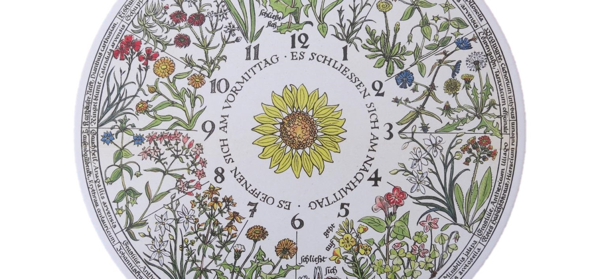 Flower-clock-1200×566 rid