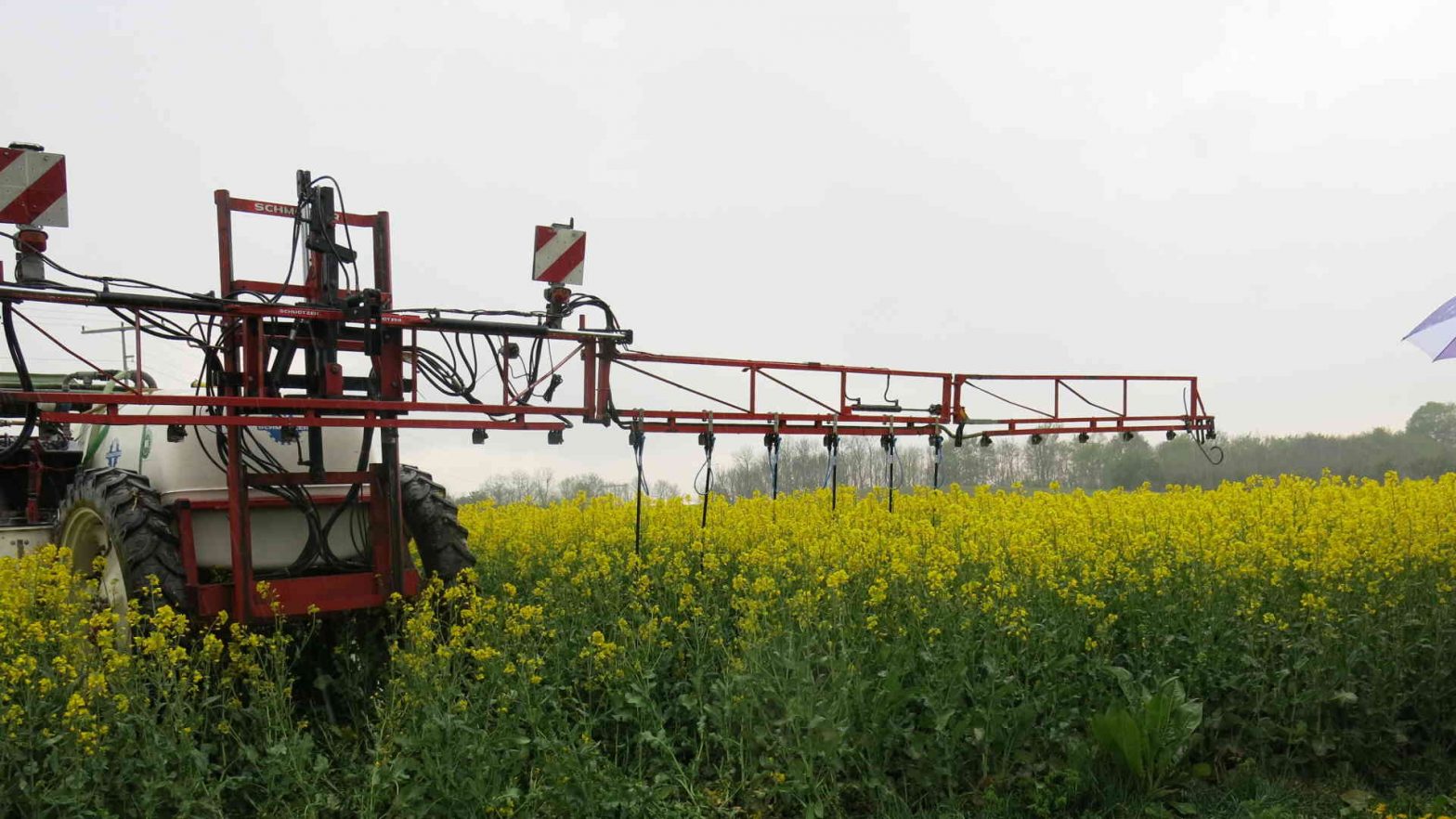 Consulting_rid 2. Consulting for bees and agriculture