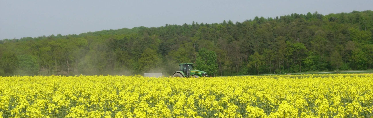 Courses for agricoltural authorities and schools_rid Courses for agricoltural authorities and schools | BeeSafe