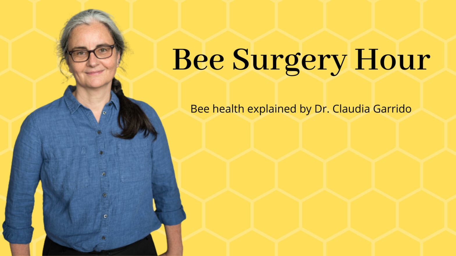 challenges for bee health, keeping healthy bees