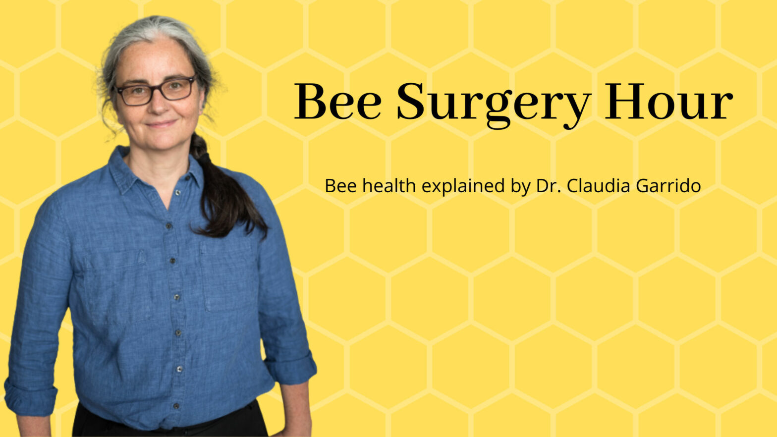 Colony losses in winter explained – Bee Surgery Hour challenges for bee health, keeping healthy bees