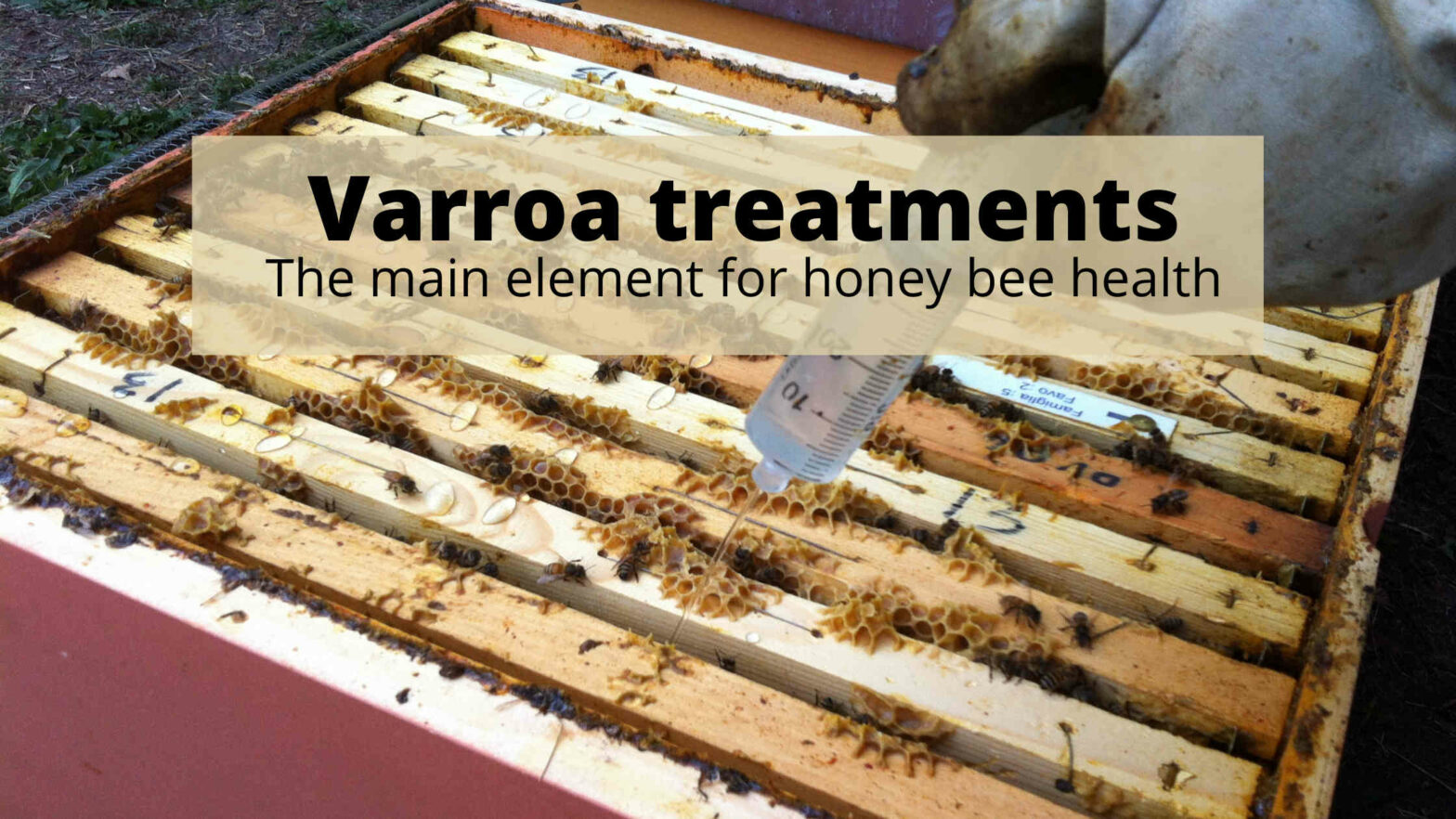 Varroa treatments Varroa treatments
