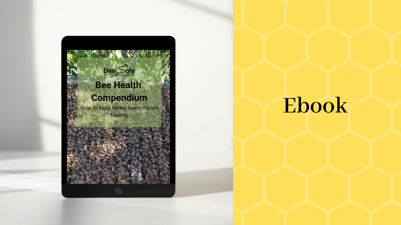 xr:d:DAEiZ16UD9E:242,j:32986541907,t:22081607 Bee Health Compendium