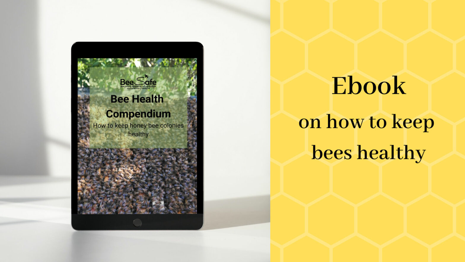 xr:d:DAEiZ16UD9E:262,j:33016755846,t:22081615 Bee Health Compendium