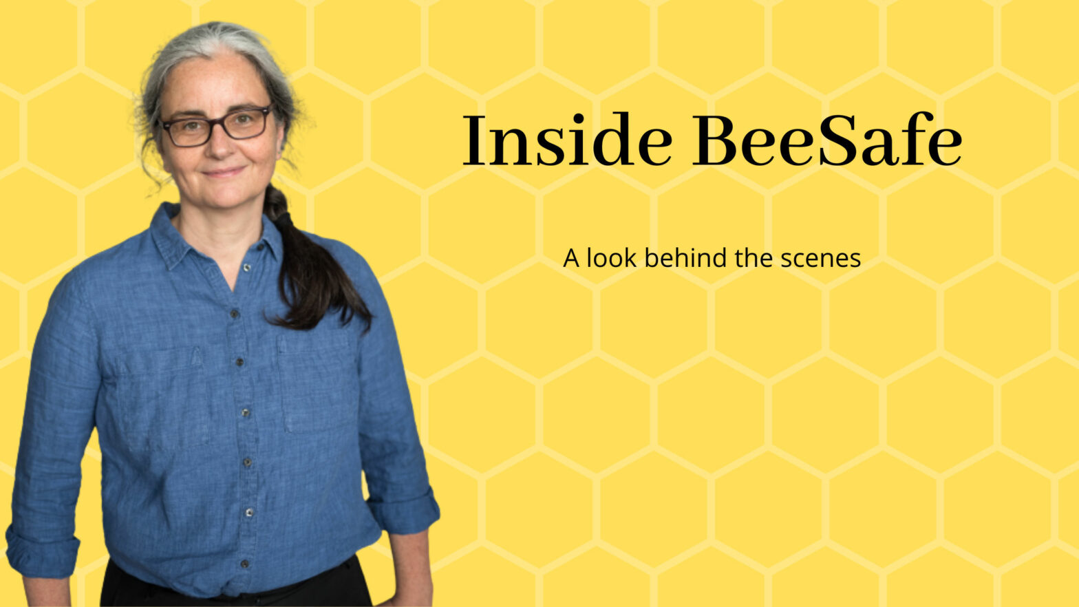 bee season, Inside BeeSafe
