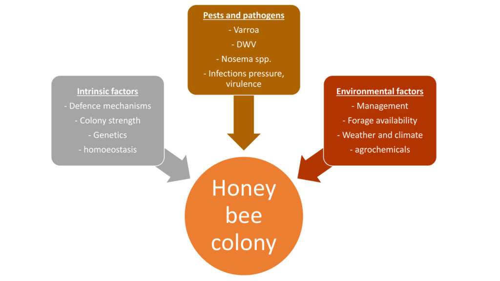 challenges for bee health