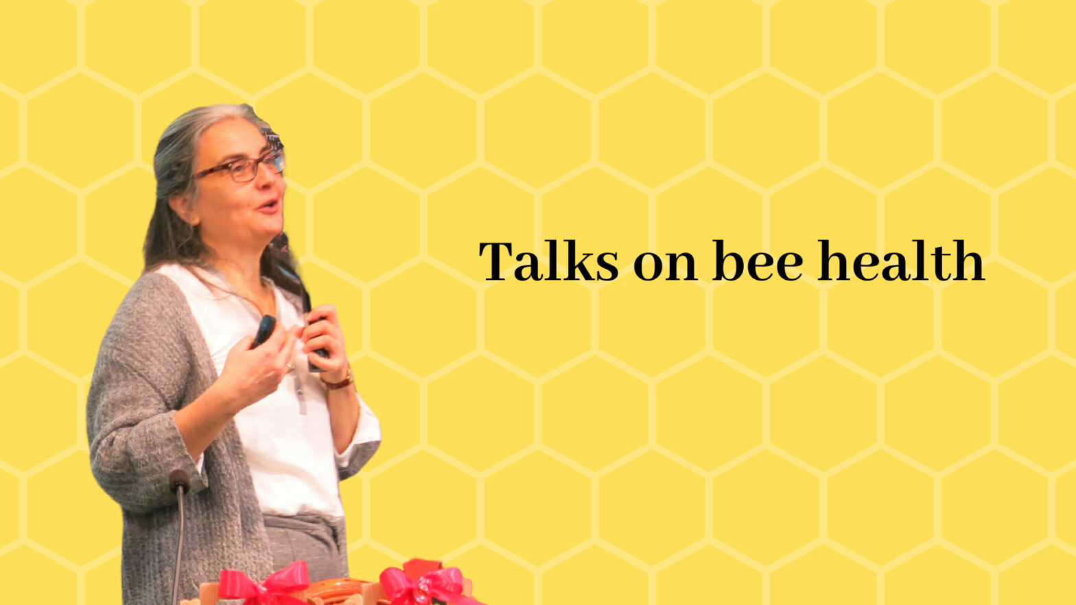xr:d:DAFtqdCb2Bo:6,j:7655395535648953689,t:23090613 Talks on bee health